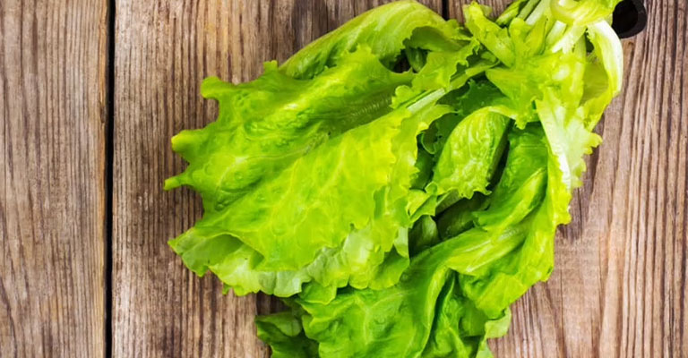 How to Prevent Bitterness in Romaine Lettuce